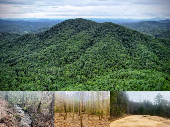 0 Flea Mountain Rd, Murphy, NC 28906