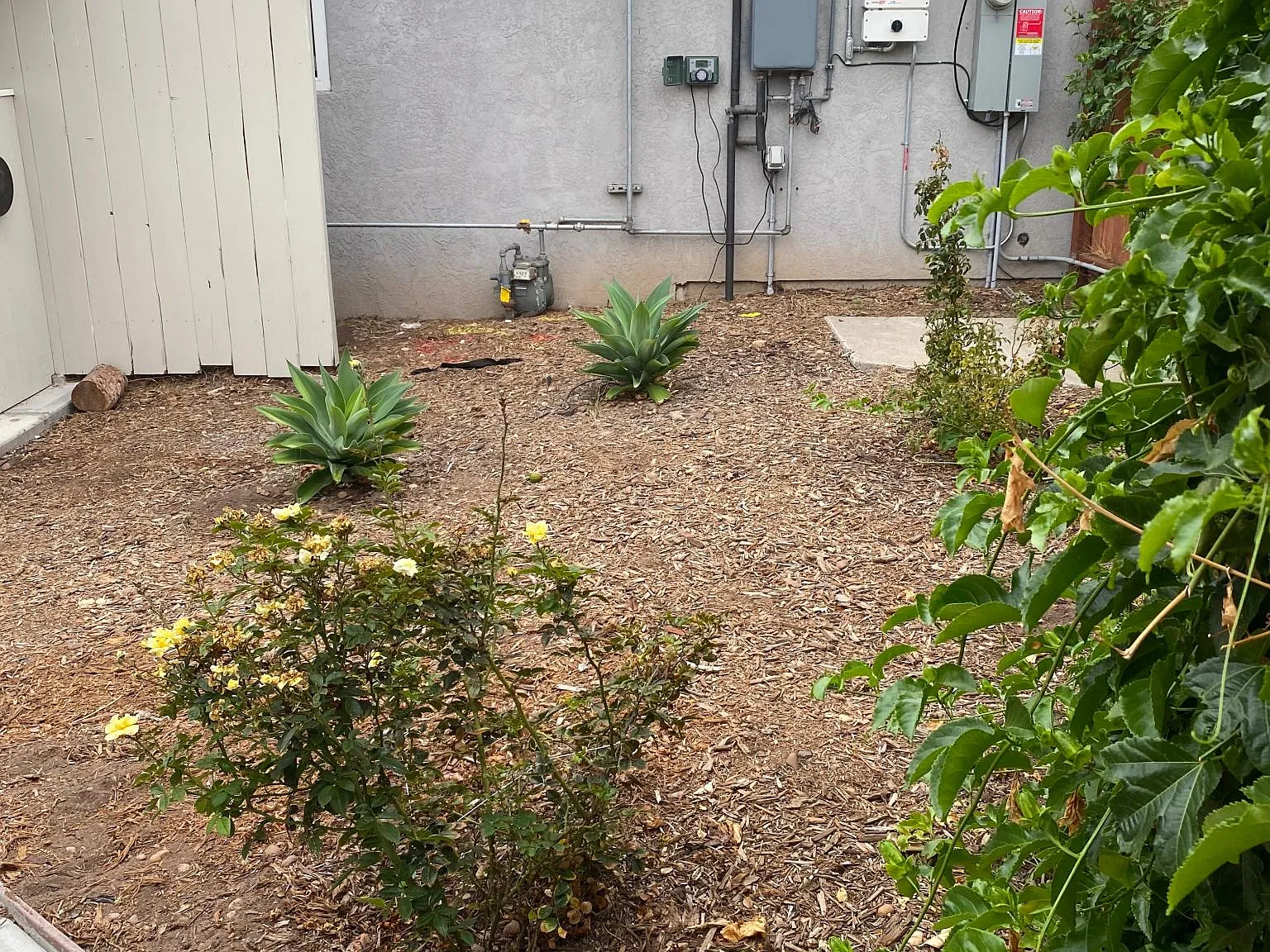 2301 Bonita St — Photo 2