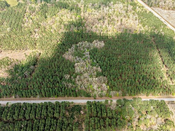 Dji 20260330135959 0398 D