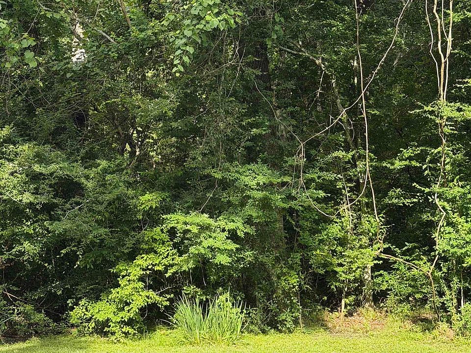 1st image of 42062 Galtier Zito Ln