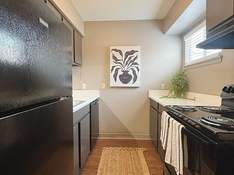 Kitchen Kitchen