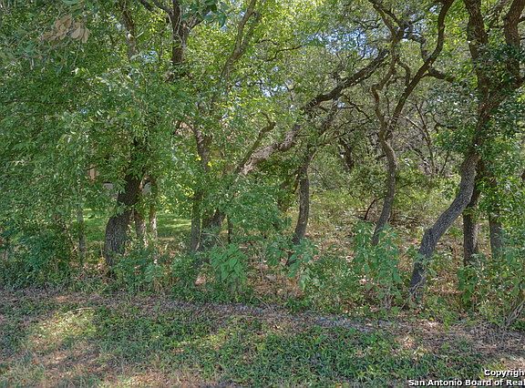 3rd image of 27252 Sherwood Forest Dr