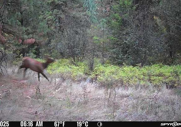 2nd image of 2584 Bridgeman Rettinger Rd #F