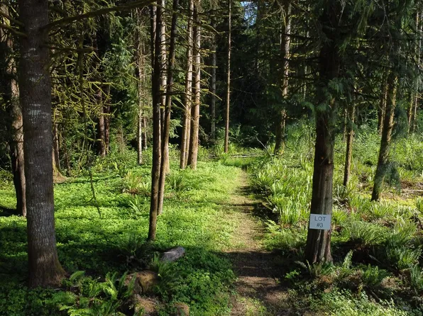 0 Carlon Loop Rd #3, Longview, WA 98632