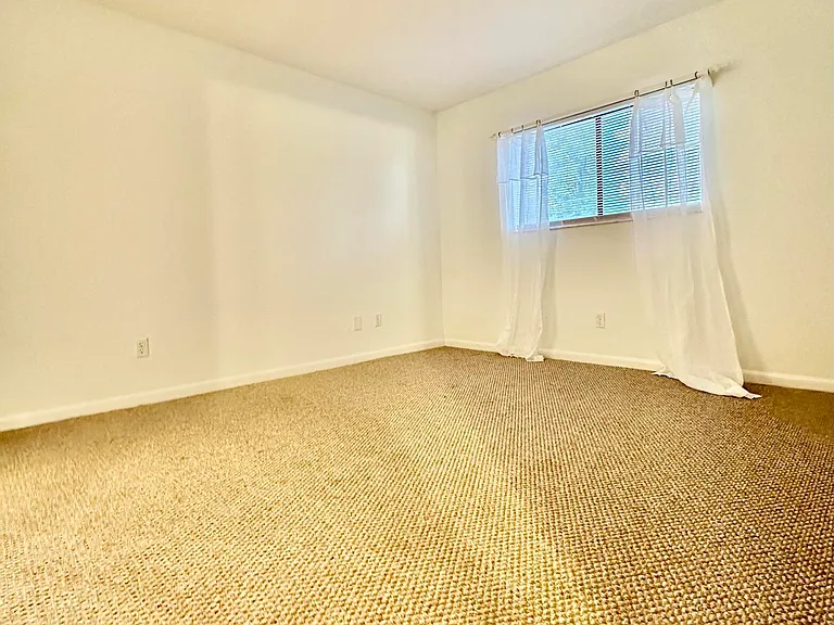 4451 Holly Tree Rd — Photo 15