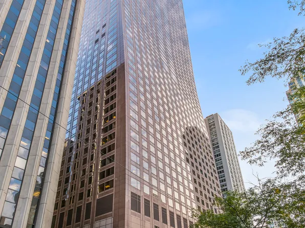 (undisclosed Address), Chicago, IL 60611