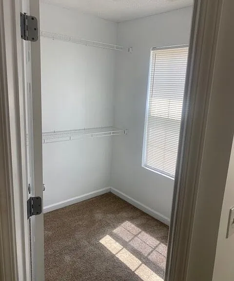 112 Chastain Cir — Photo 12
