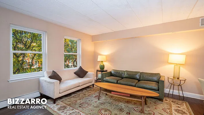 Living room, photo 1