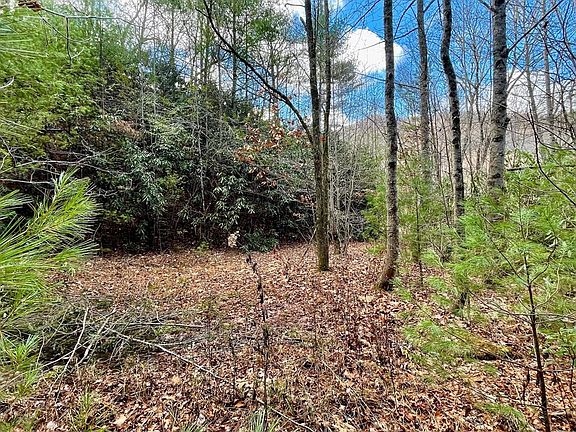 3rd image of NA W Mill Creek