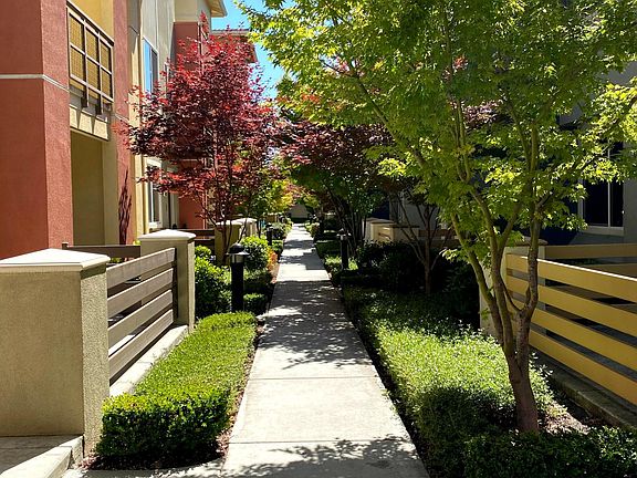 5th image of 1075 Gaviota Trl