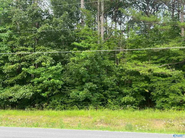 Nauvoo Rd, Nauvoo, AL 35578