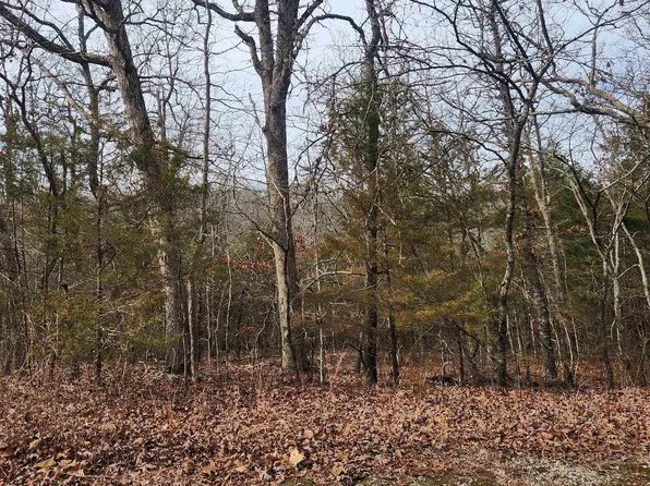 L-10 Muswaki Trl #B, Cherokee Village, AR 72529