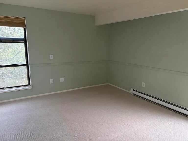 3801 Silver Plume Cir — Photo 11