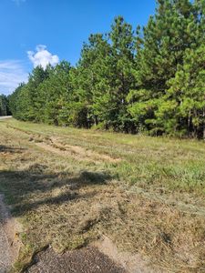 Lot 1 Ga 220, Lincolnton, GA, 30817