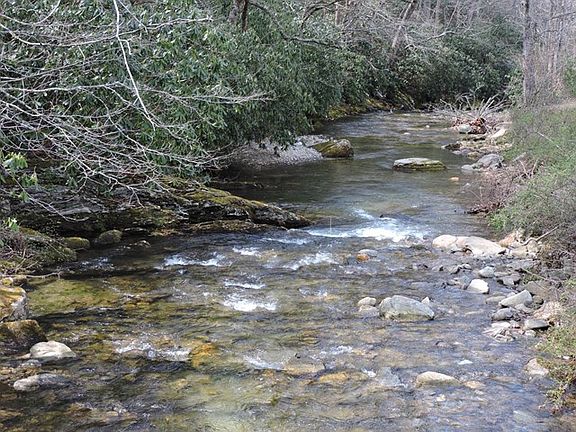 3rd image of 325 Left Fork Ln