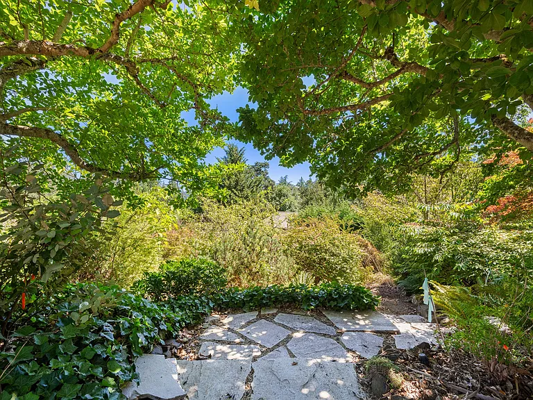 Path to Food Forest