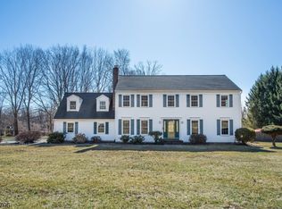 4 Theresa Dr, Flanders, NJ 07836