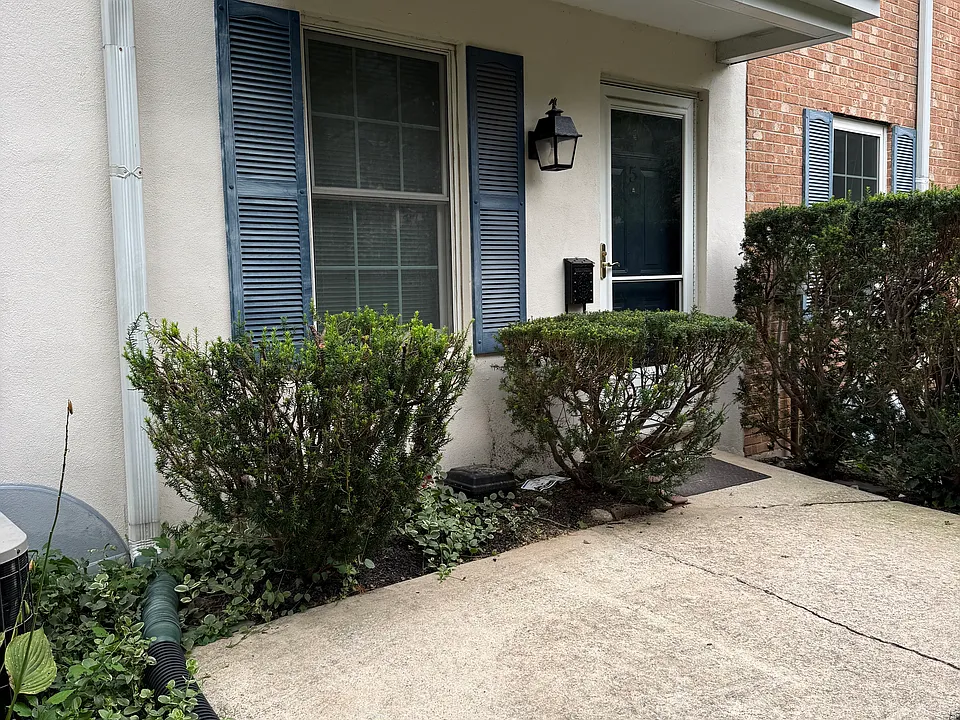 116 Ardmore Ave #5