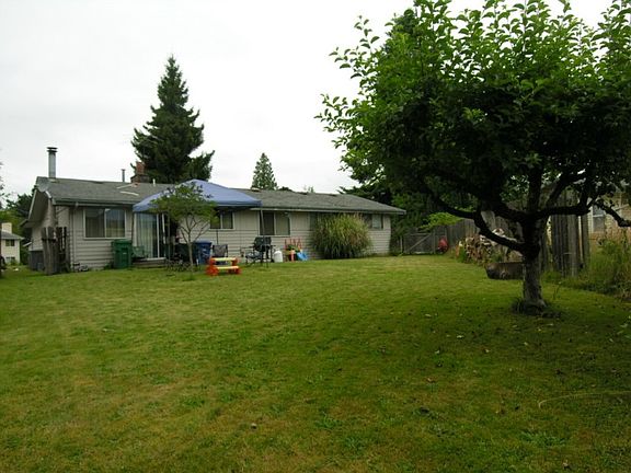 Large fenced back yard with several fruit trees.