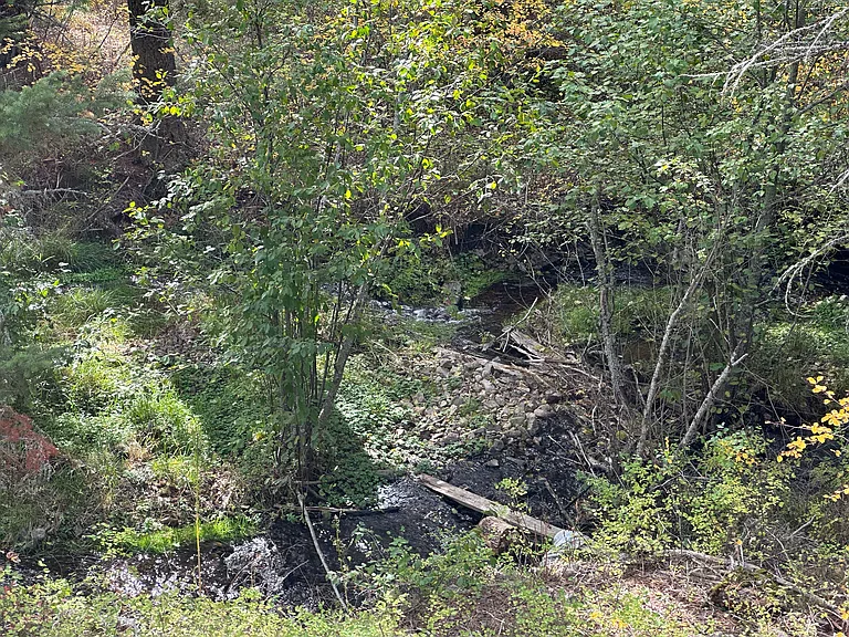 Bear Creek