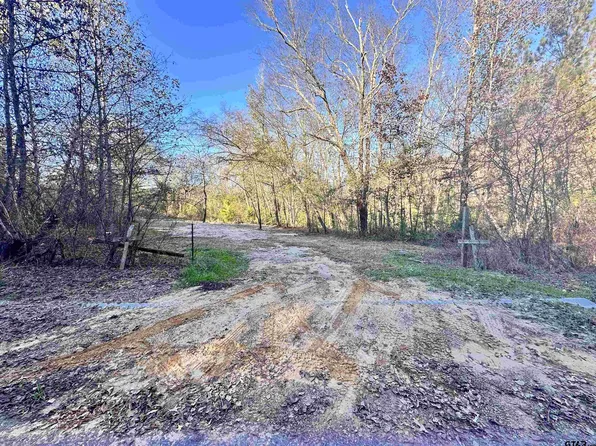 0 County Road 4302, Larue, TX 75770