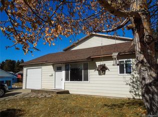 213 W 17th St, Leadville, CO 80461