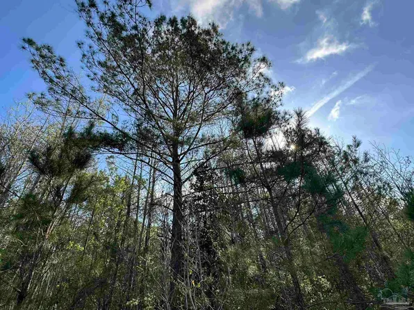 Snyder Rd, Frisco City, AL 36445