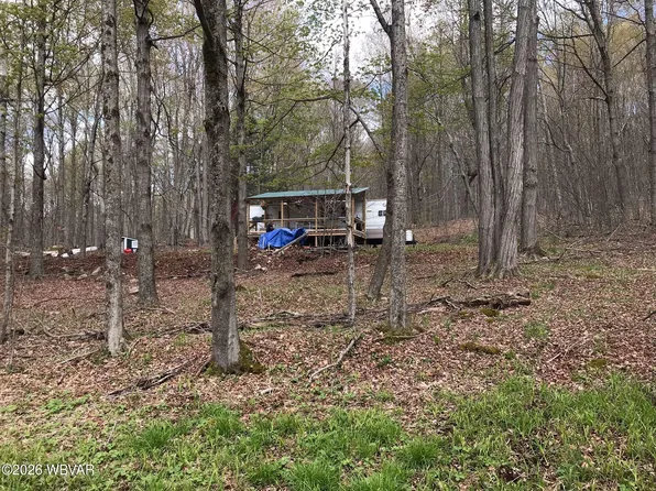 Birch Hill Rd Lot 11, Shunk, PA 17768