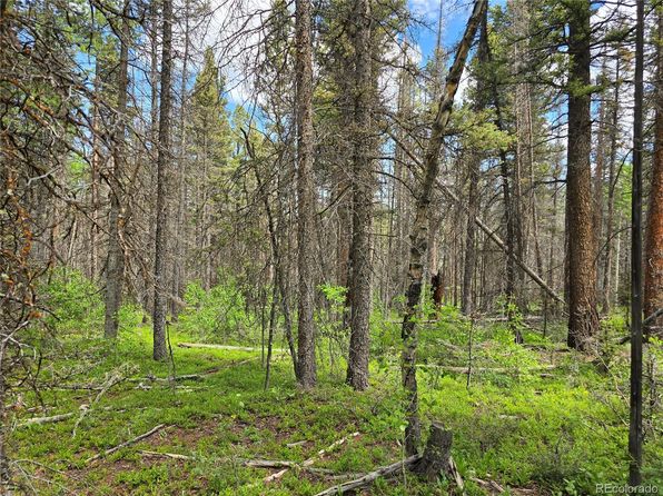 6656 Alden Road, Fort Garland, CO 81133