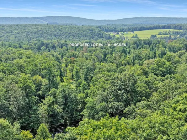 LOT 4 Back Rd S, Barnesville, PA 18214