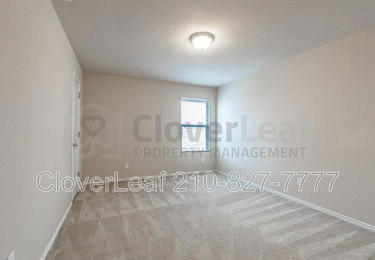 3734 Ox Eye Daisy — Photo 24