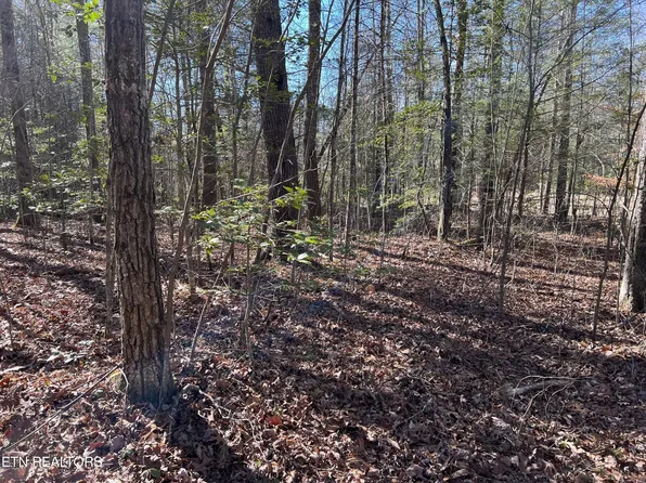 0 Bear Hollow Rd, Oneida, TN 37841