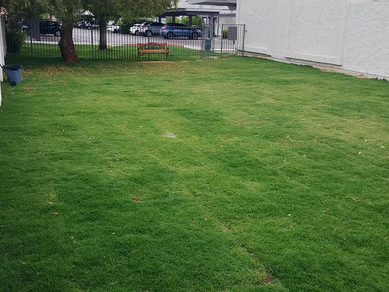 Grass dog park with large dog run area