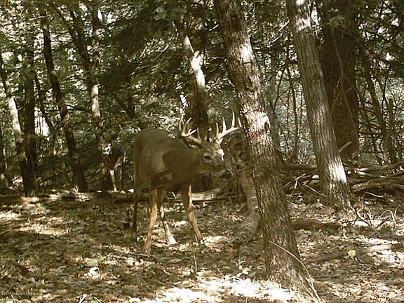 2nd image of Greenview Dr