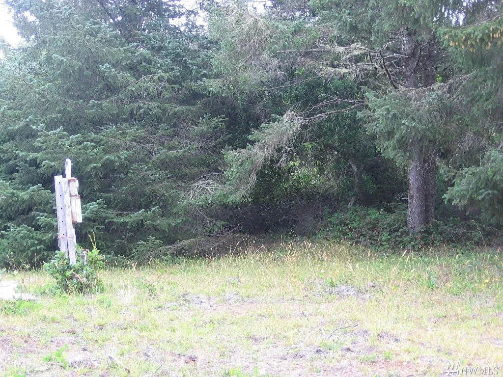 236 N Razor Clam Dr SW photo 1