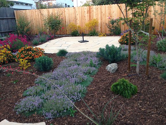 New backyard by Fiddlehead