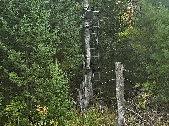 5th image of 5999 Penegor Rd
