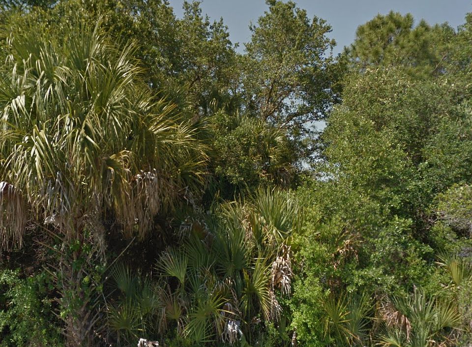 1st image of 3884 Champagne Ave