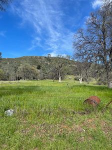 4223 Penon Blanco Rd, Coulterville, CA, 95311