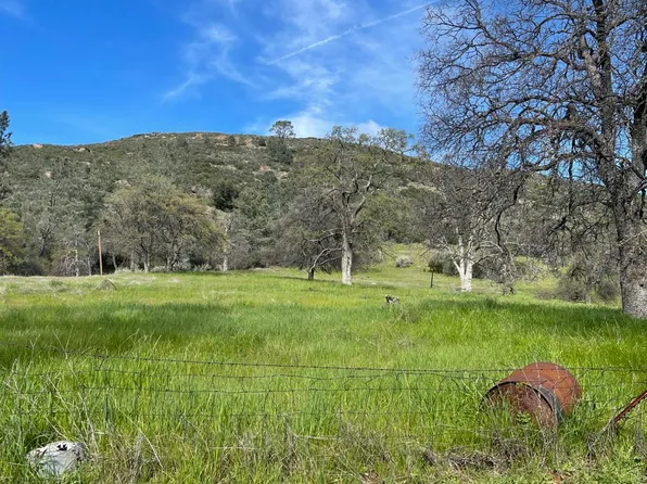 4223 Penon Blanco Rd, Coulterville, CA 95311