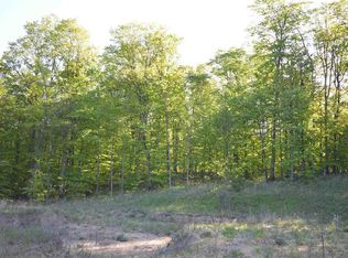 E McAllister Rd, Suttons Bay, MI 49682