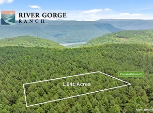 2045 Constellation Ct, Guild, TN 37340