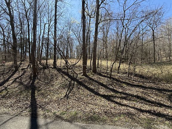 2nd image of 0 Brigham Branch Rd