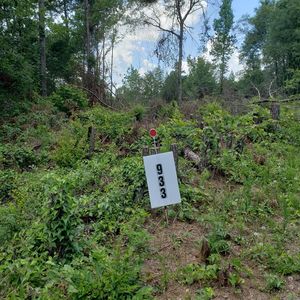 933 E Atlanta Rd, Stockbridge, GA, 30281