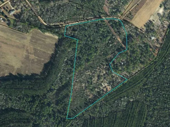 240 NE Posey Rd, Ludowici, GA 31316