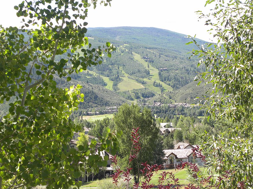 Ski View