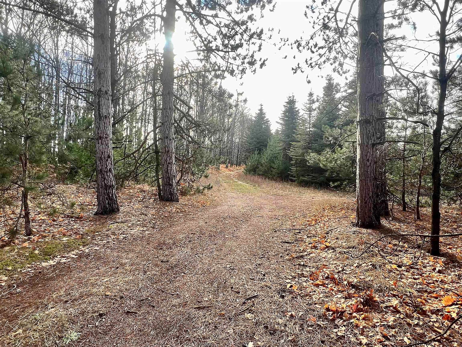 16 Milne Dr, Manton, MI 49663 Zillow