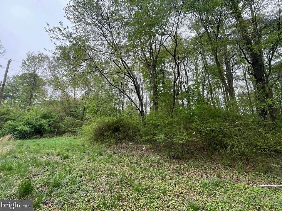 2nd image of Nelpine Rd