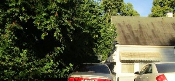 3rd image of 445 Alexander Dr