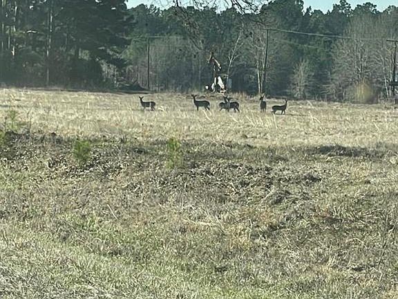 5th image of 460 Acres Off